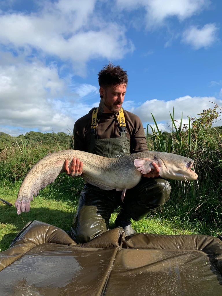 Catfish Paradise North Devon & Exmoor Angling News The latest up to