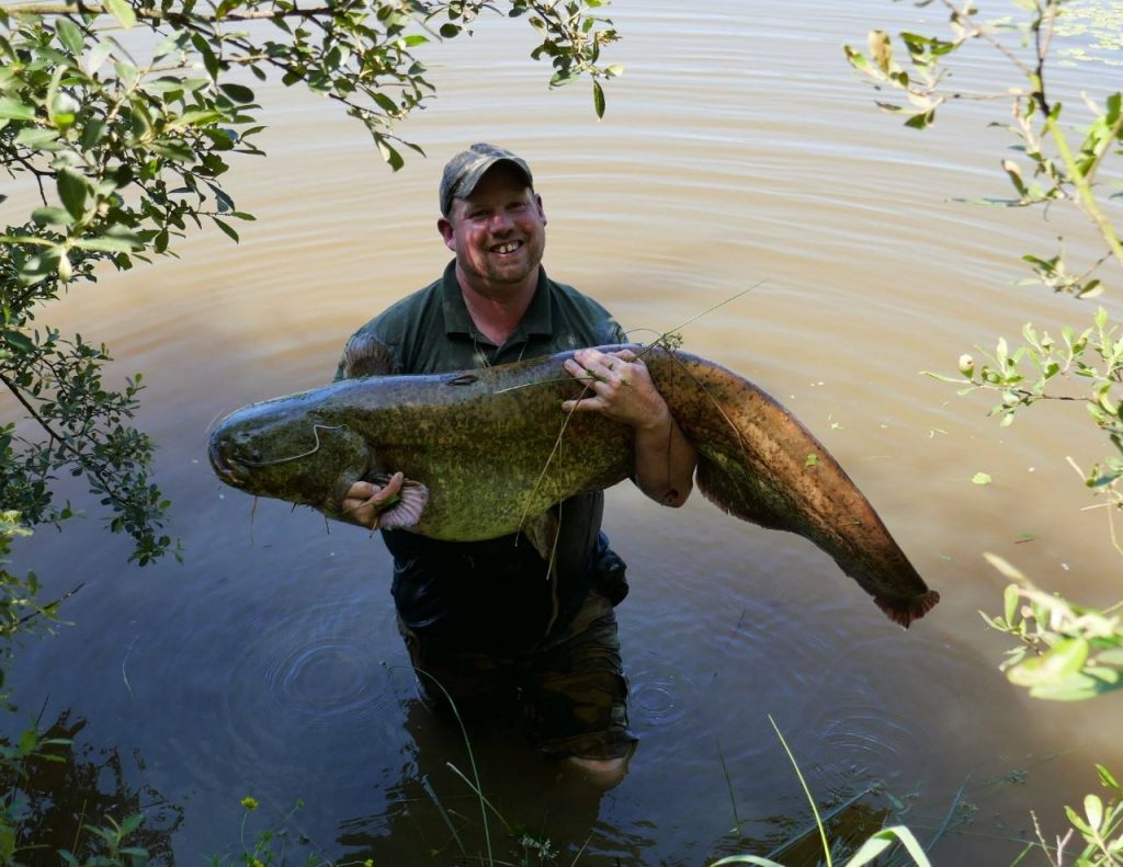 Huge Catfish Is Paradise Complex Best! - North Devon Angling News - The ...