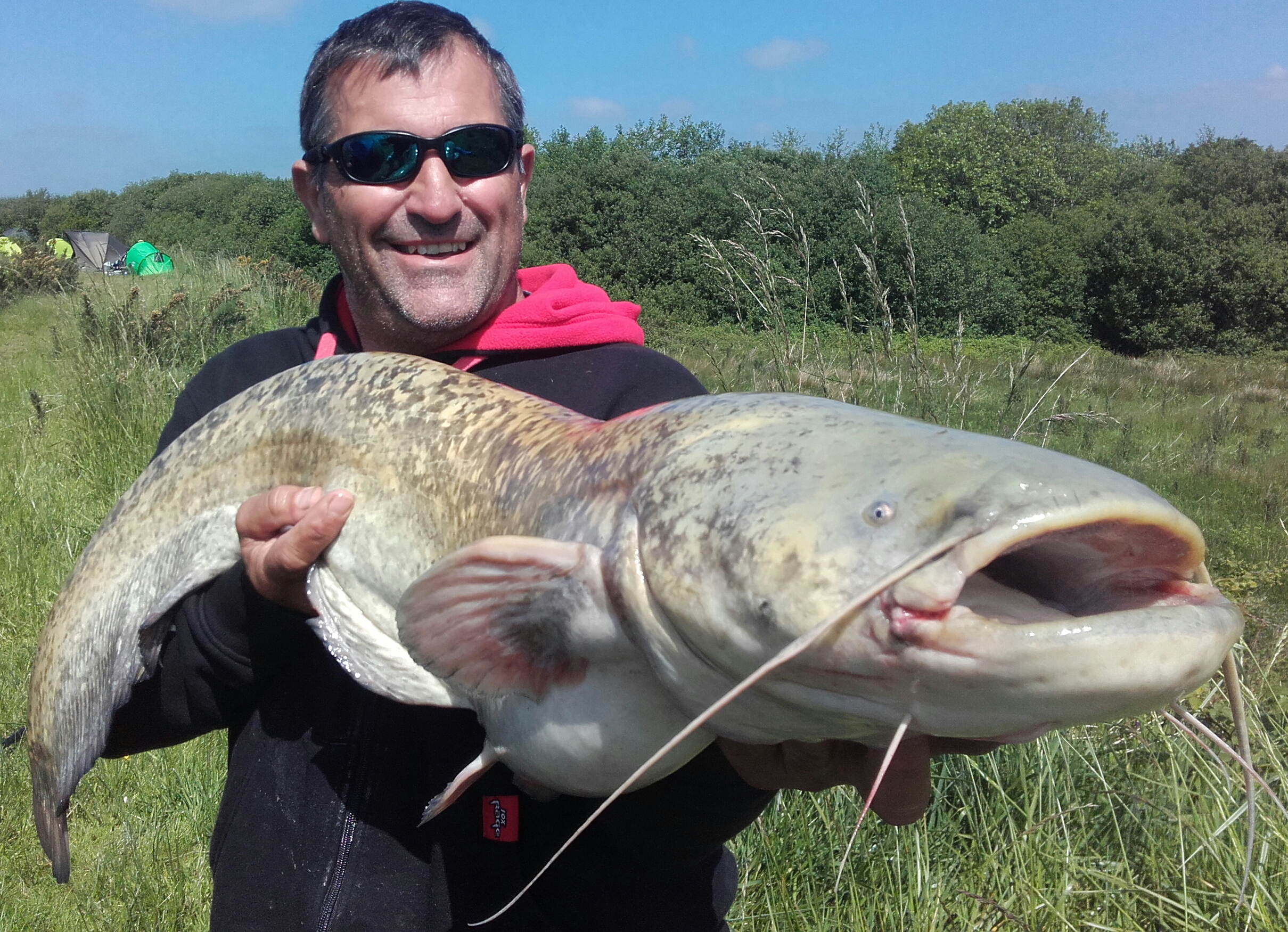CATFISH FROM PARADISE - North Devon & Exmoor Angling News - The