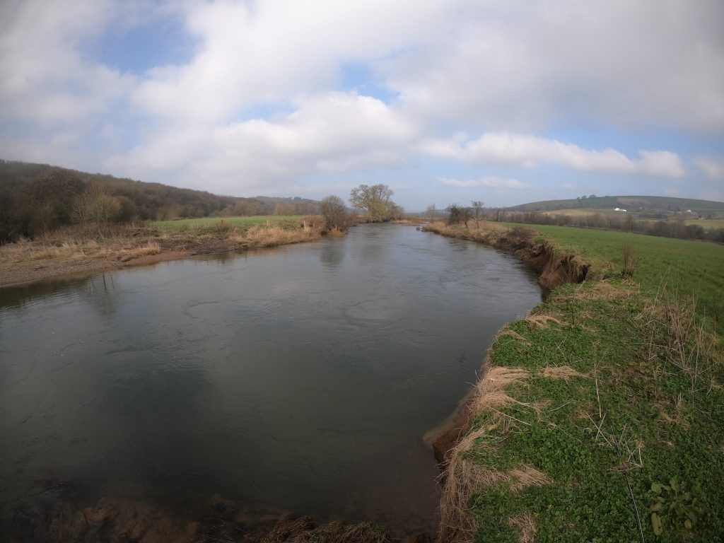 River Taw Archives - North Devon Angling News - The latest up to date ...