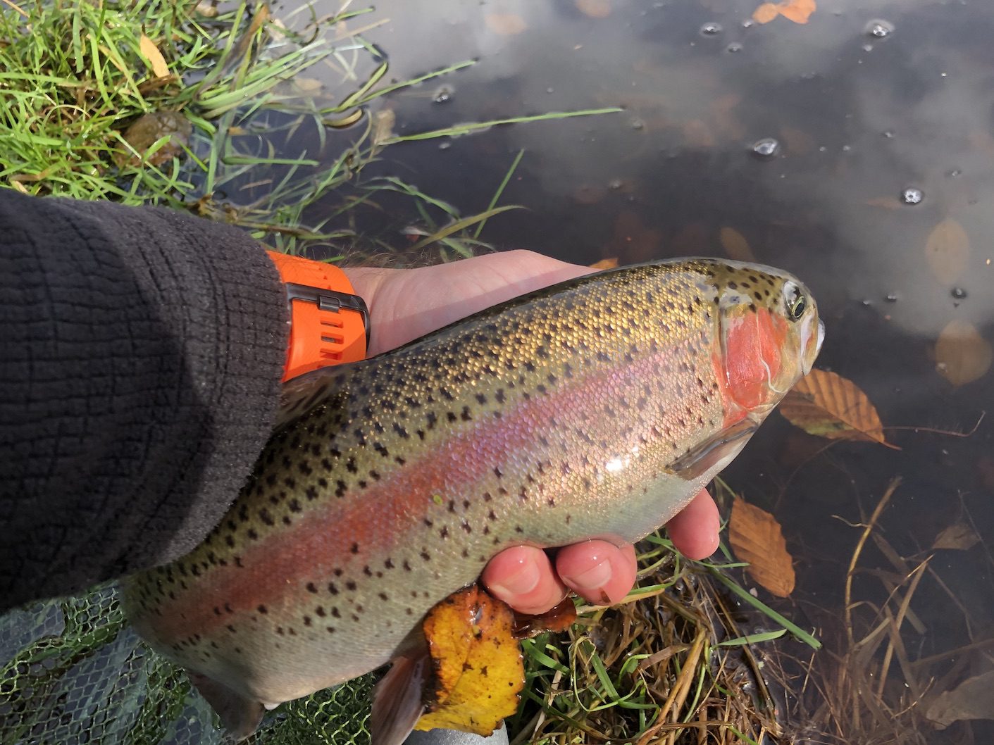 https://www.northdevonanglingnews.co.uk/wp-content/uploads/Kennick-is-regularly-stocked-with-rainbow-trout-from-2lbs-to-6lbs..jpg
