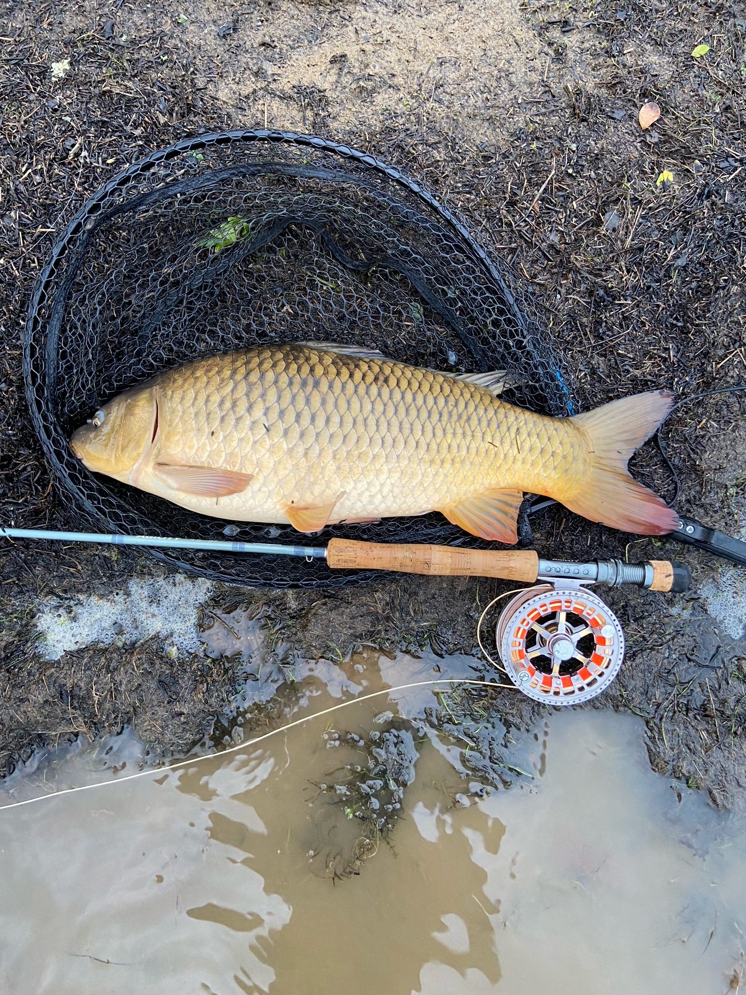 South West Lakes Trout Fisheries Report August 2021 - North Devon & Exmoor  Angling News - The latest up to date information